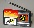 Ecouter les langues et les cultures du monde sur les radios libres